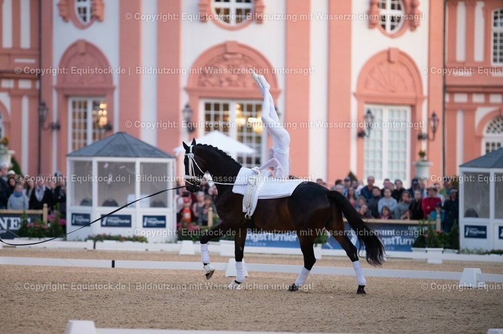 20230527_Voltigieren_NASPA_Flutlicht_0172 | equistock