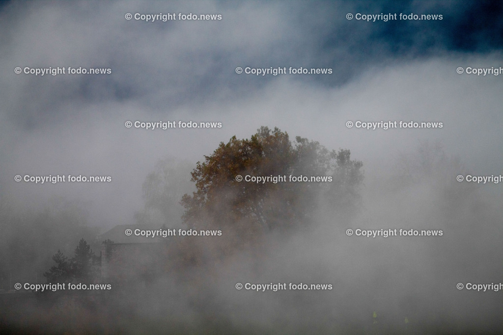 Herbst_ Nebel_ 16.11.2024-4 | 16.11.2024, Linz, AUT, Herbst, im Bild Nebel, Nebelschwaden, Baum, Feature