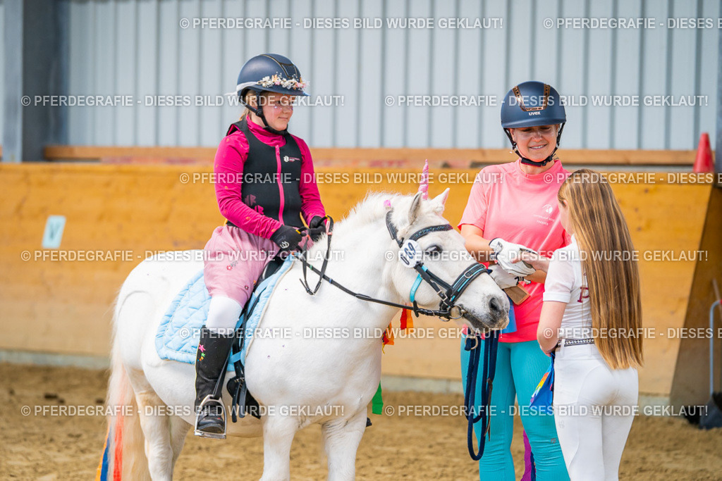 DSC00846 | Pferdegrafie