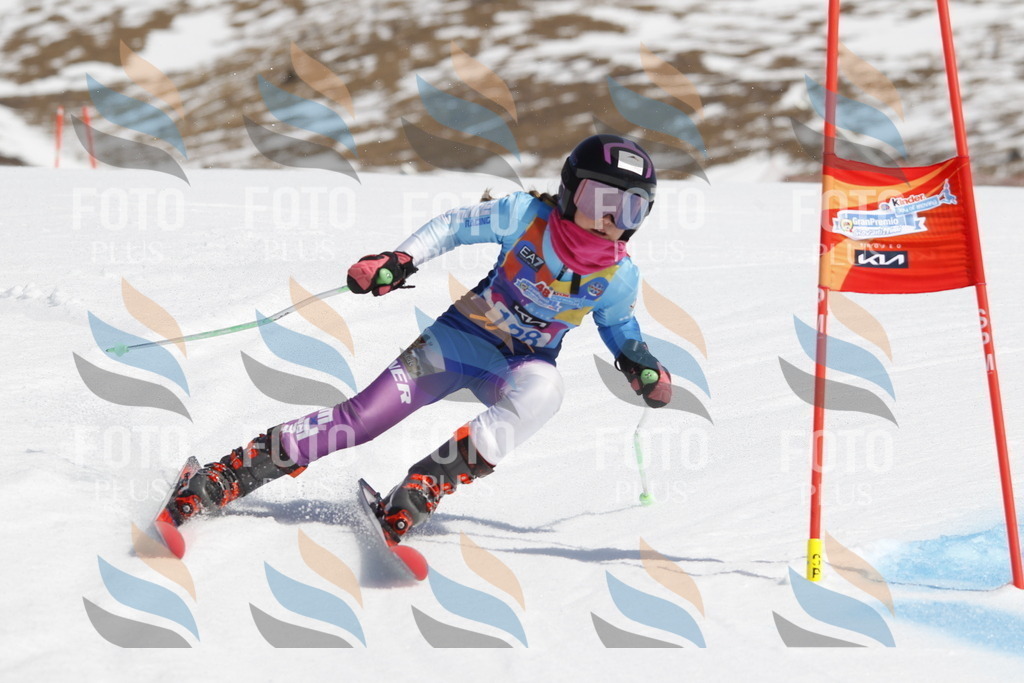 _U3G0843 | holidayphoto