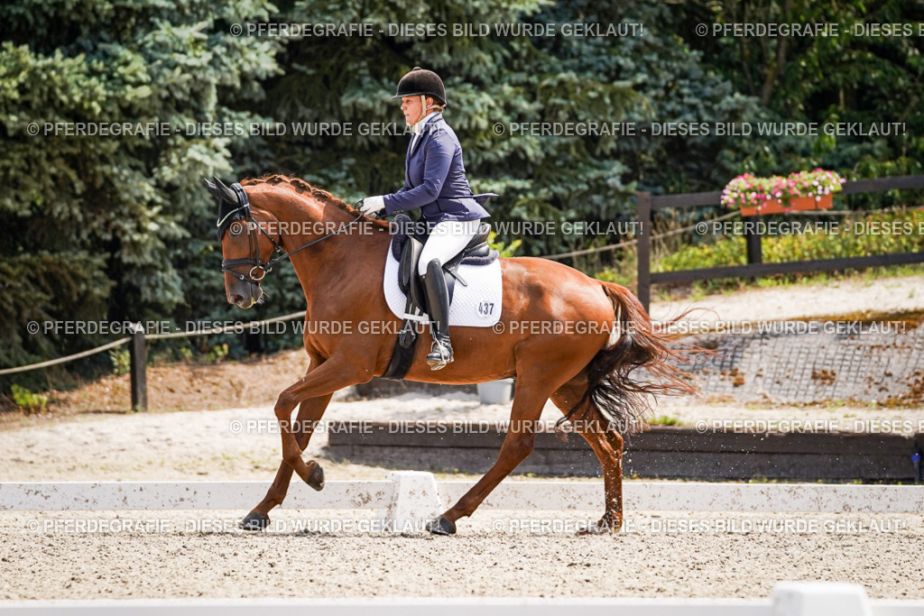 DSC00566 | Pferdegrafie