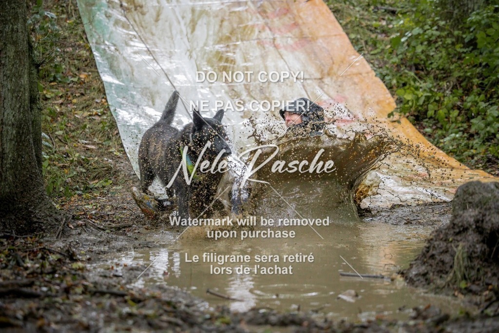 nelerasche_Hunsrück_Sa1400-1430_79-final | nelerasche