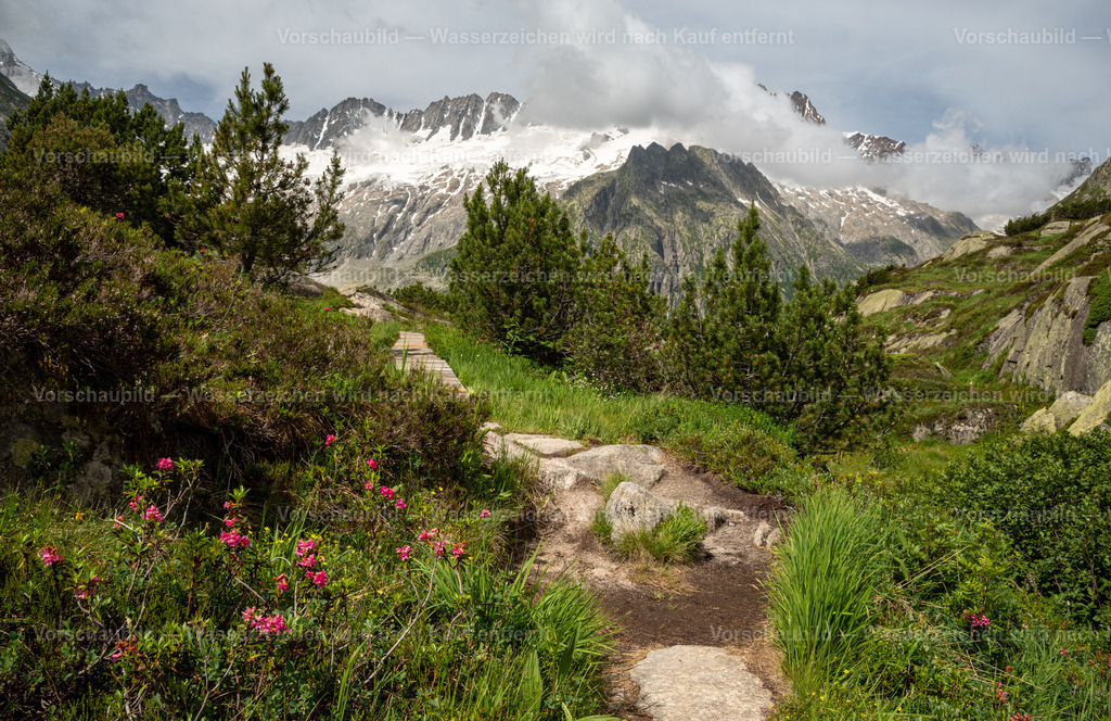 Im Hochmoor beim Dammastock, Schweiz | auf der Göschener Alp - Realisiert mit Pictrs.com