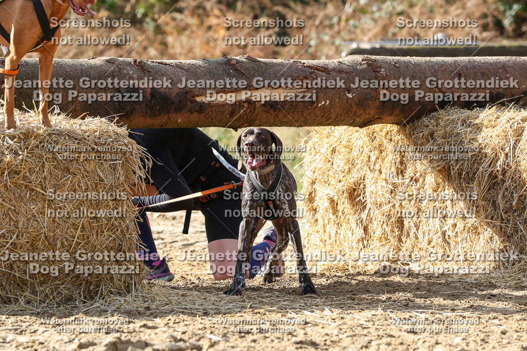 Dog Paparazzi - Strongdog 10-25-5473 | Dog Paparazzi Jeanette Grottendiek Fotografie & Videografie - Realisiert mit Pictrs.com