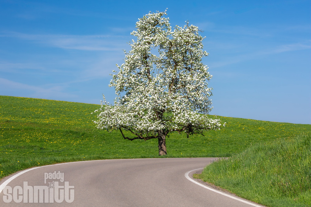 PS-Wege-2026-21 | Entdecke die größte Bildgalerie der Region mit Fotografien aus dem Allgäu, der Bodenseeregion, Oberschwaben, dem Donautal und der Schwäbischen Alb. Landschaften, Luftaufnahmen und Reisefotografie als Wandbild und Fotokunst. - Realisiert mit Pictrs.com