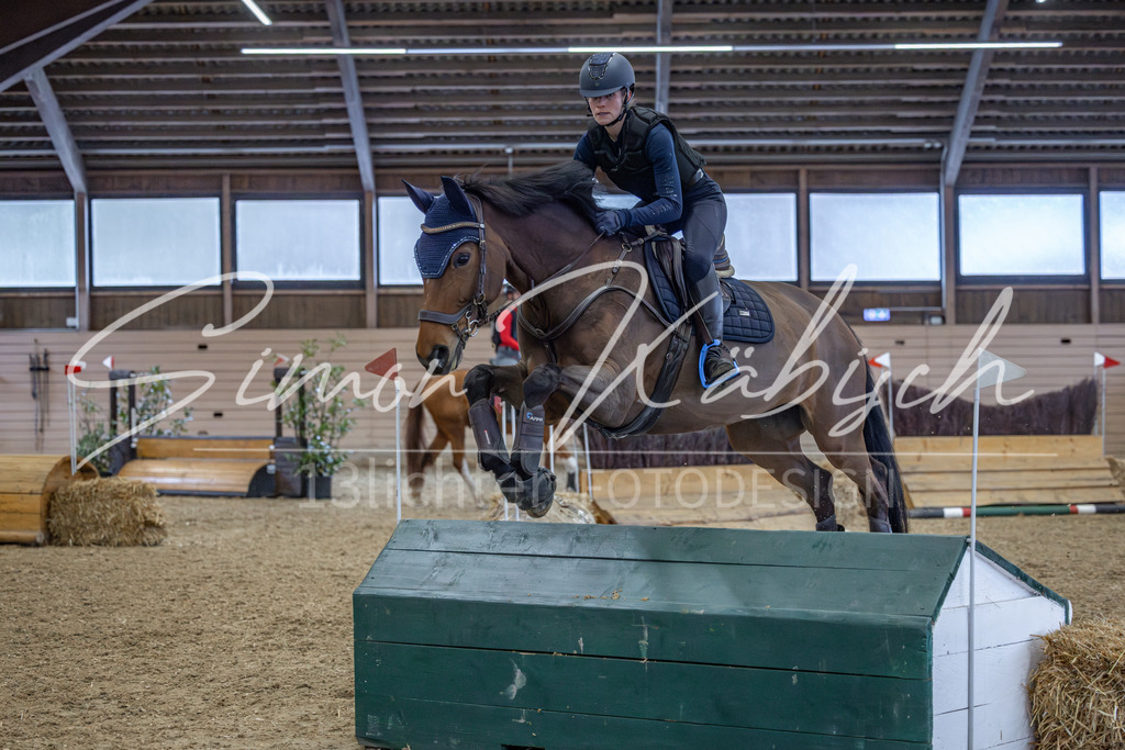 20260221-_3LI9090 | Tierfotografie Pferde, Hunde, Katzen, Haustiere.
Turnierfotografie Reitturniere, Reiten, Springreiten, Dressur in Hanau, dem Main-Kinzig-Kreis und dem Rhein-Main- Gebiet um Frankfurt