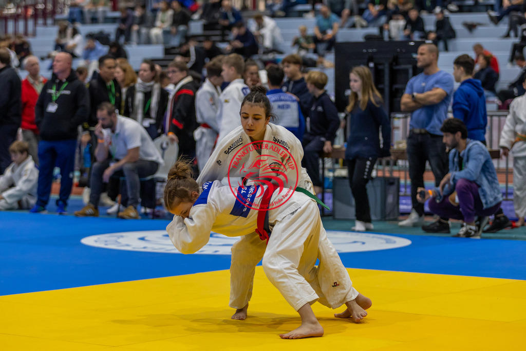 Internationaler Adler Cup 2024 | Foto vom Internationalen Adler Cup Judo Turnier im Sport- und Freizeitzentrum Kalbach im Oktober 2024 - Realisiert mit Pictrs.com