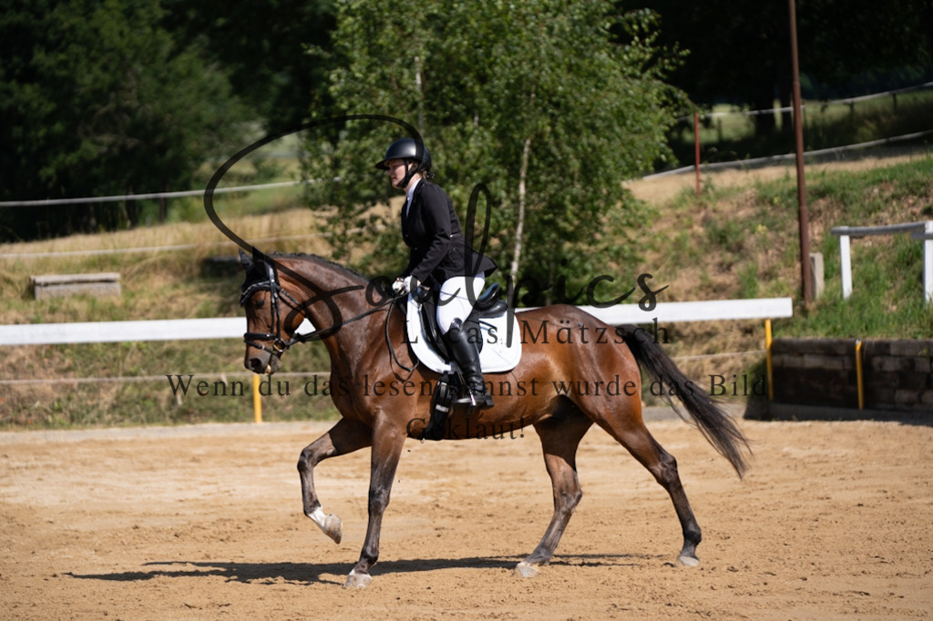 A7V07823 | Pferdefotograf