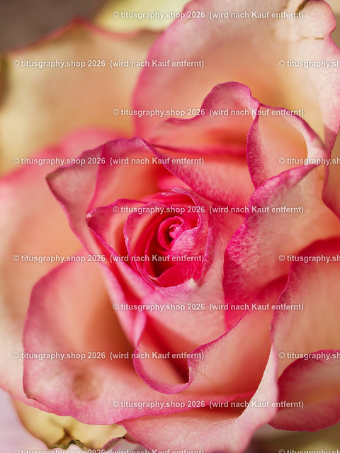 titusgraphy-P5137947_var-080 | Fotokunstarbeit aus der INSTAGRAM-Gallerie auf titusgraphy.eu - Realisiert mit Pictrs.com