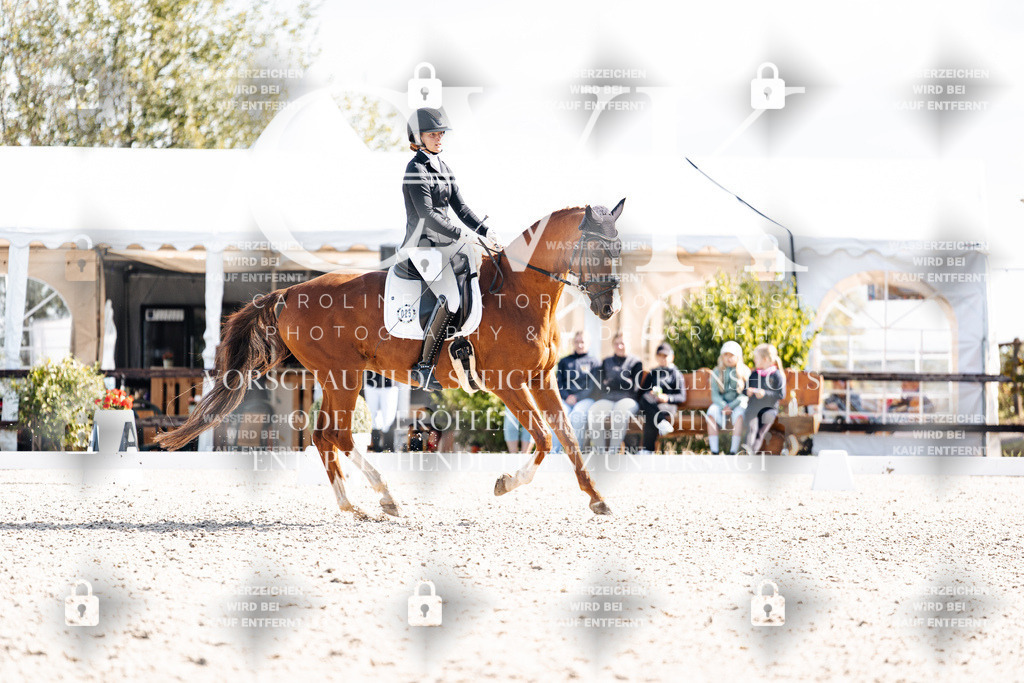 CK902216 | Turnierfotografie Pferdefotografie Trier Rheinland-Pfalz Pferdesport Reitsport Tierfotografie Sportfotografie Pferdevideo Pferdevideografie Equestrianvideography equestrianphotography  - Realisiert mit Pictrs.com