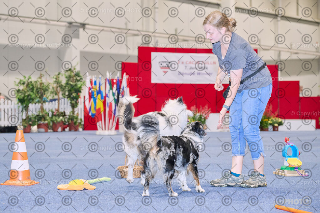 202406_ÖKV-IHA-Tulln24_NZ9_7725 | proPHOTO - Realisiert mit Pictrs.com