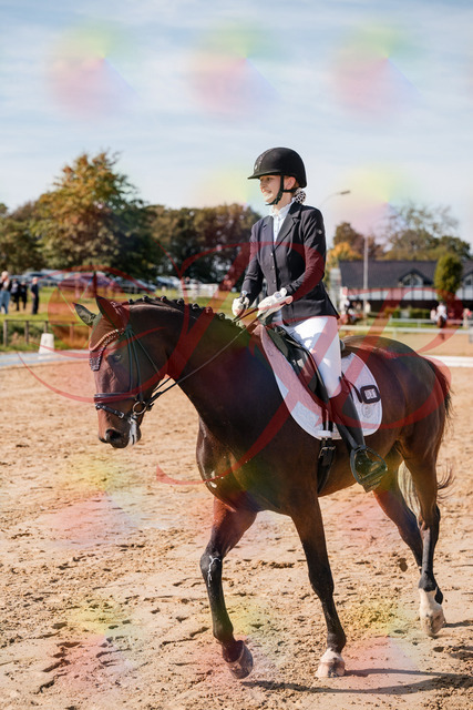 2026_10_03_Siefer-Hof_125340_Z63_61708370 | Professionelle Reitsport-, Turnier- und Eventfotografie von Robert Broda. Galerien mit ausgewählten und bearbeiteten Bildern direkt online ansehen und bestellen.