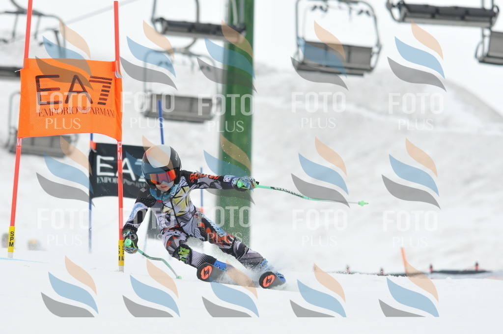 DSC_8734 | holidayphoto