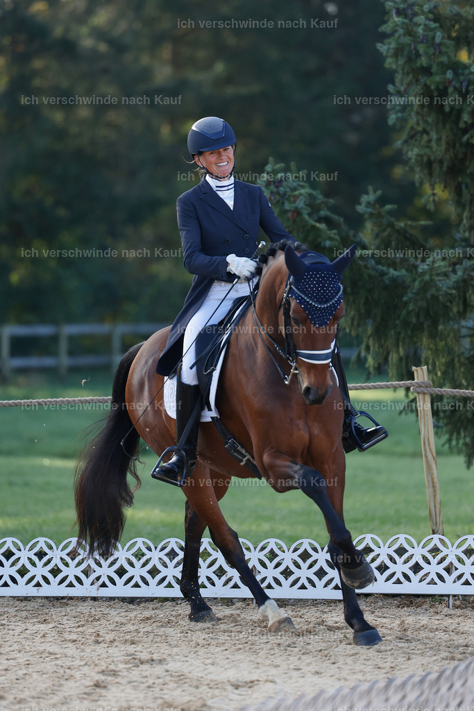 09_1-082-DRESSUR  S_  -StoibPH-5454 | working equitationturnier fotograf videograf stoibphotography marixx film working equitation deutschland reitsport turnierfotografie eventfotografie equestrian events