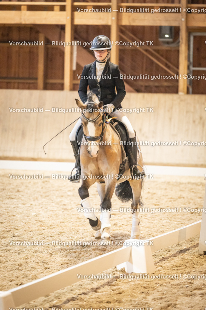 _D5A9908 | Emotionale Pferde- & People-Fotografie rund um Heidelberg, Leimen & Umgebung. Natürliche Fotos von Pferd, Mensch & Familie. Jetzt Termin sichern!