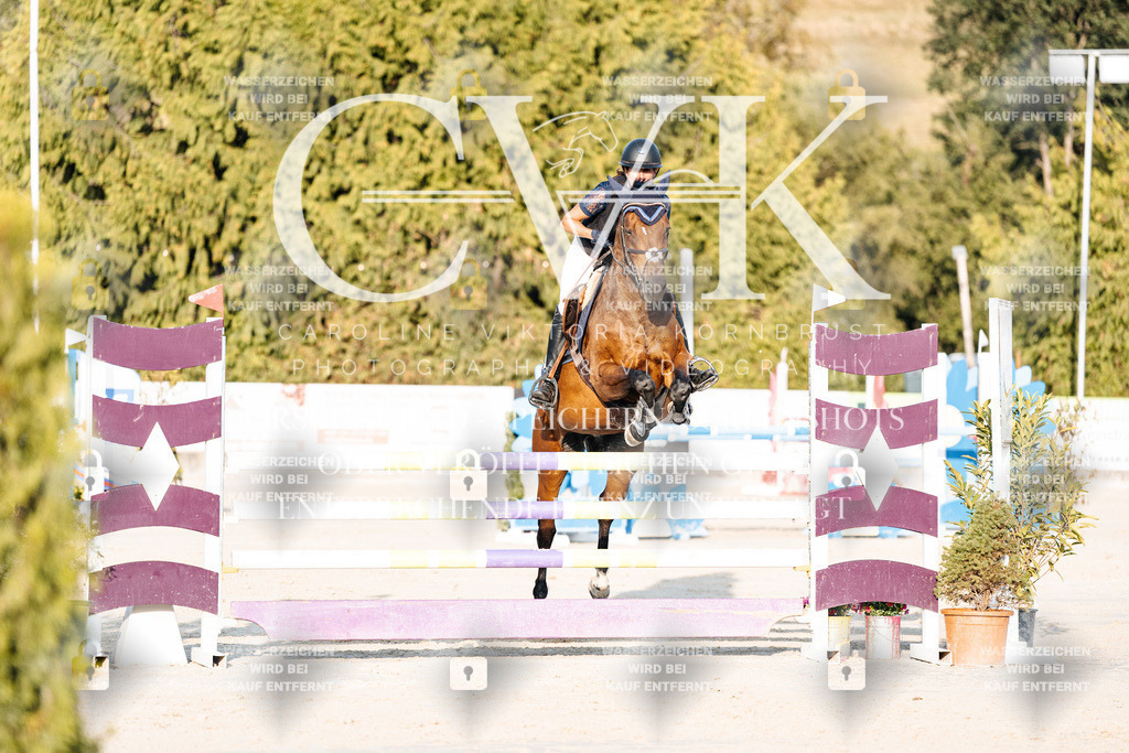 CK900745 | Turnierfotografie Pferdefotografie Trier Rheinland-Pfalz Pferdesport Reitsport Tierfotografie Sportfotografie Pferdevideo Pferdevideografie Equestrianvideography equestrianphotography  - Realisiert mit Pictrs.com