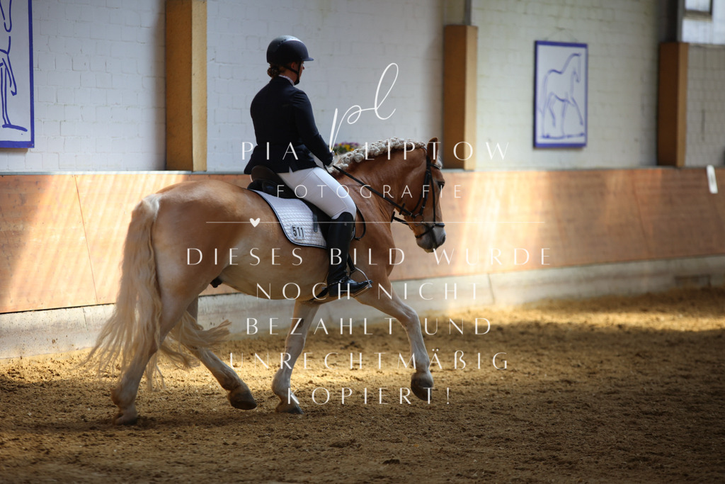 IMGT7324 | pl-fotografie