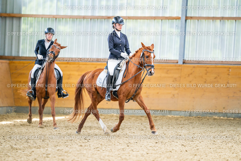 DSC03927 | Pferdegrafie