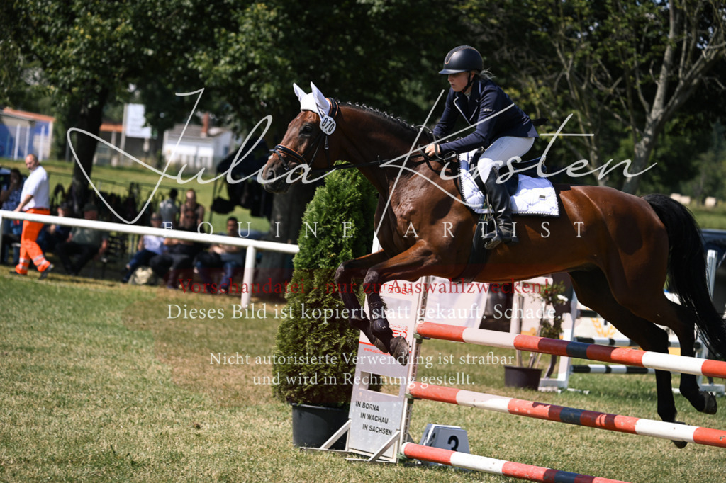 DSC_0469 | Pferde- und Turnierfotografie in Westsachsen. Pferdeportraits, Auftragszeichnungen und intuitive Kunst.
