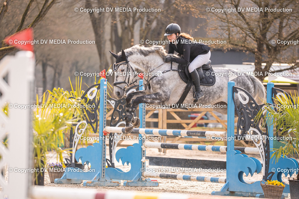 Kranichstein Tag 2-1461 | dv-media-shop - Realisiert mit Pictrs.com