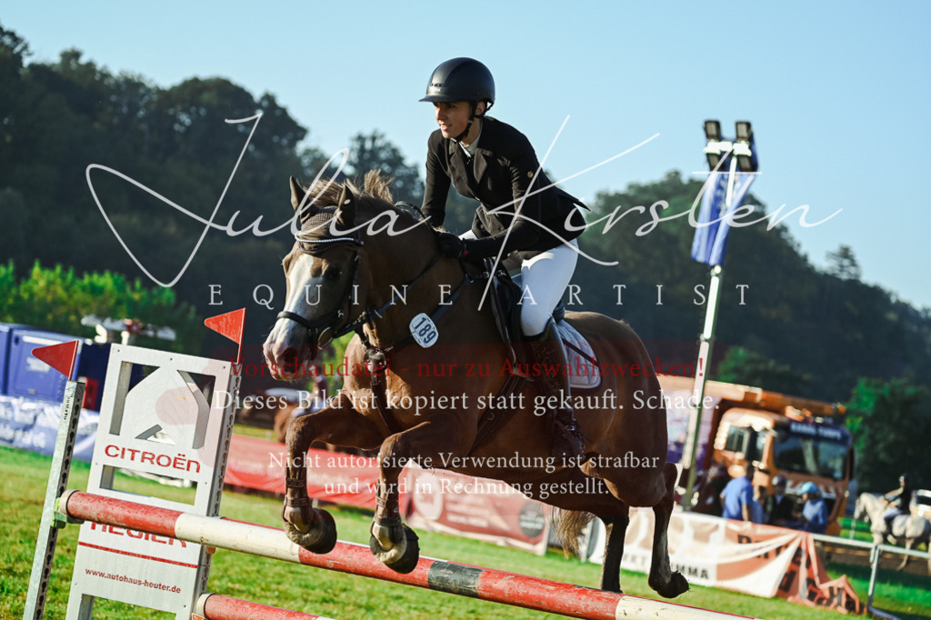 DSC_4027 | Pferde- und Turnierfotografie in Westsachsen. Pferdeportraits, Auftragszeichnungen und intuitive Kunst.