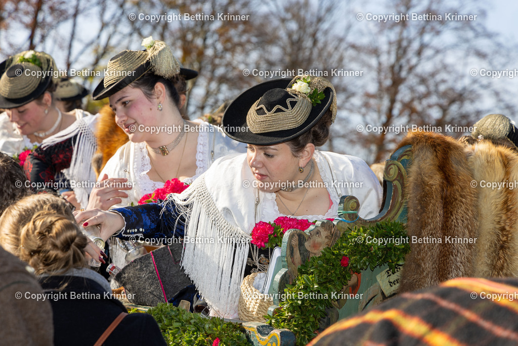 LBT24-1110 | foto-bettina-krinner - Realisiert mit Pictrs.com