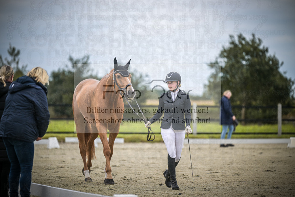 DOS_0534 | Entdecke hochwertige Reitturnierfotos von Foto Oger. Professionell, emotional und authentisch – jetzt Lieblingsmomente im Shop bestellen.Deutschlandweite Turnierfotografie. - Realisiert mit Pictrs.com