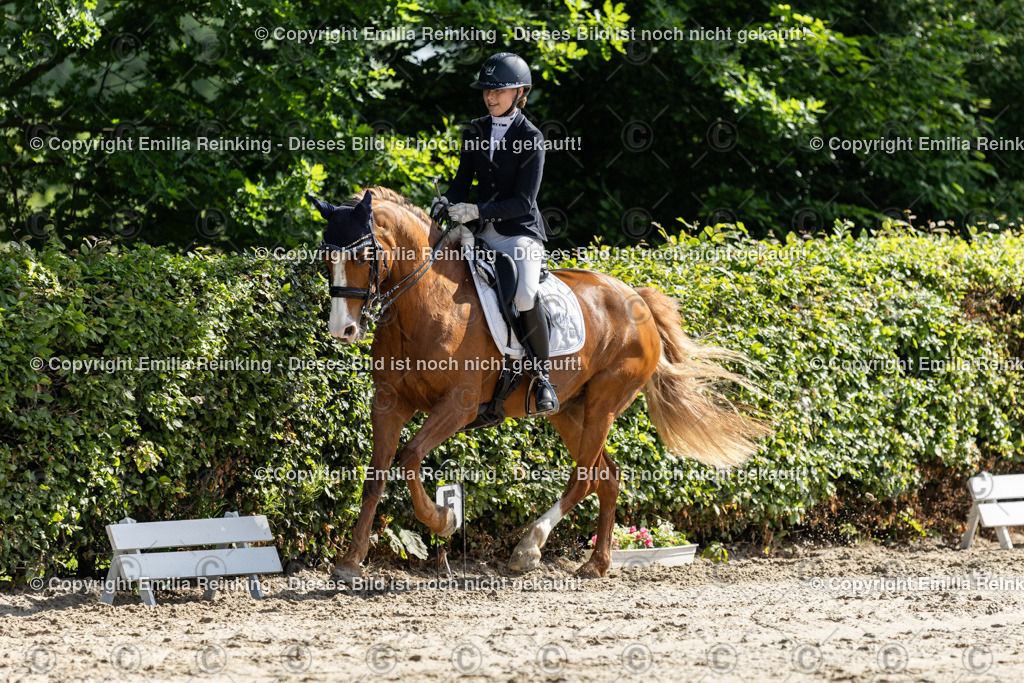 CL5A7204 | Emilia Reinking Fotografie - Realisiert mit Pictrs.com