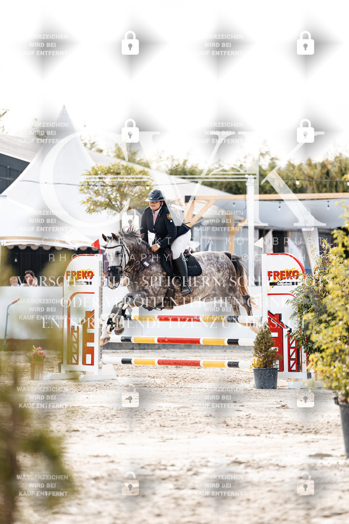 CK907018 | Turnierfotografie Pferdefotografie Trier Rheinland-Pfalz Pferdesport Reitsport Tierfotografie Sportfotografie Pferdevideo Pferdevideografie Equestrianvideography equestrianphotography  - Realisiert mit Pictrs.com