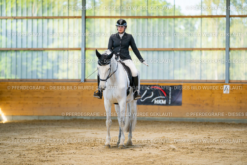 DSC06186 | Pferdegrafie