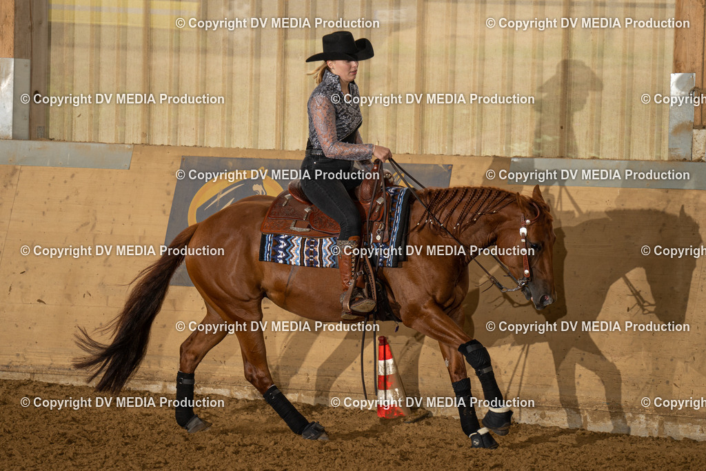 LAU00924 | dv-media-shop - Realisiert mit Pictrs.com