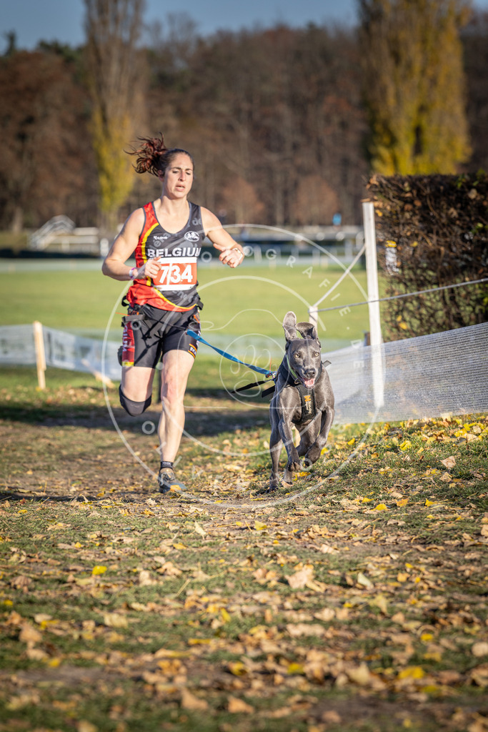 CaniXpix_DV3A2101 | Hundefotografie, Tierfotograf, Pfotenfotografie, Fotoshooting Hund, Hunde Portrait, Hundesport, Hundeportraits, Heideshooting, Hunde, Sportfotograf, Hundefotograf, Turnierhundsport, THS,  - Realisiert mit Pictrs.com