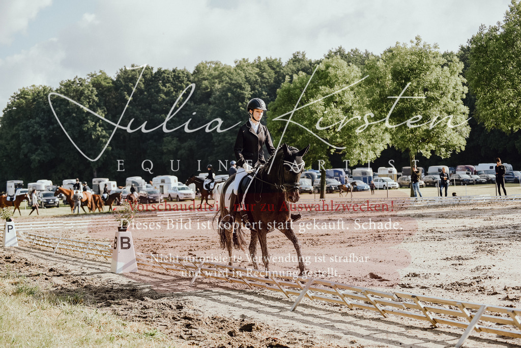 DSC_7883 | Pferde- und Turnierfotografie in Westsachsen. Pferdeportraits, Auftragszeichnungen und intuitive Kunst.