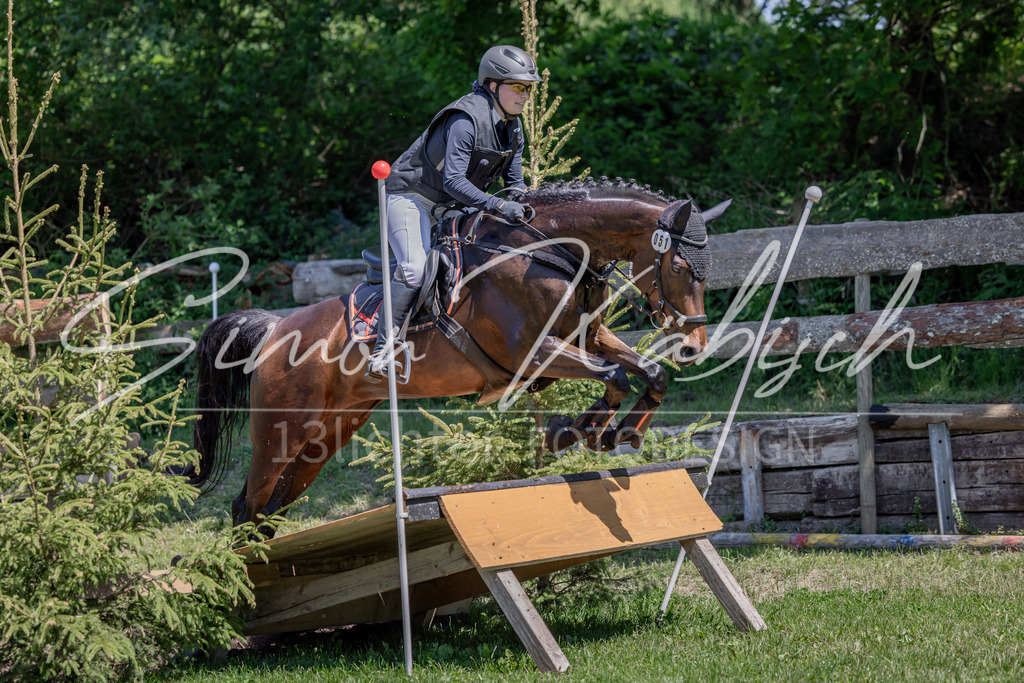 20260523-_3LI8465 | Tierfotografie Pferde, Hunde, Katzen, Haustiere.
Turnierfotografie Reitturniere, Reiten, Springreiten, Dressur in Hanau, dem Main-Kinzig-Kreis und dem Rhein-Main- Gebiet um Frankfurt