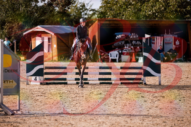 2026_10_03_Siefer-Hof_155949_Z81_80112077 | Professionelle Reitsport-, Turnier- und Eventfotografie von Robert Broda. Galerien mit ausgewählten und bearbeiteten Bildern direkt online ansehen und bestellen.