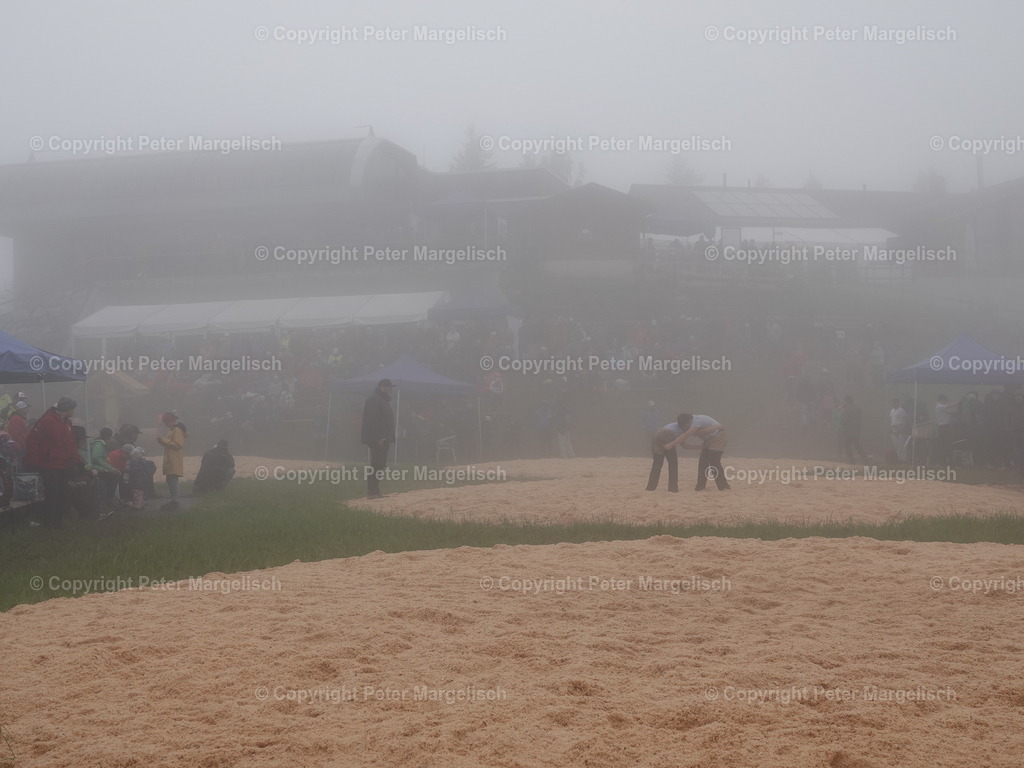 DSC07849 | Schwingen - Realisiert mit Pictrs.com