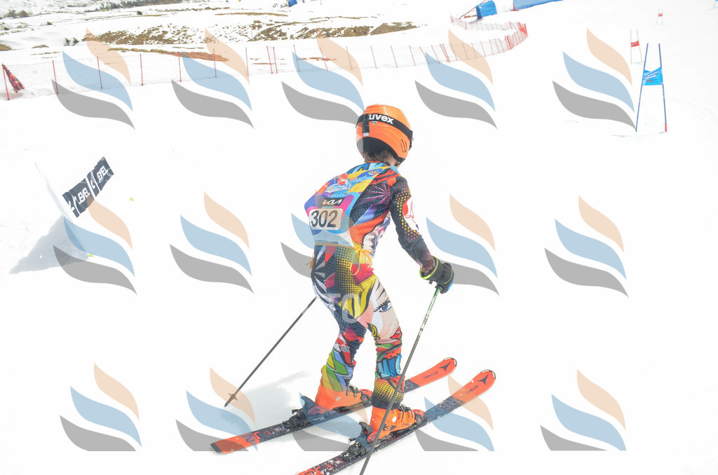 _ELE8268 | holidayphoto