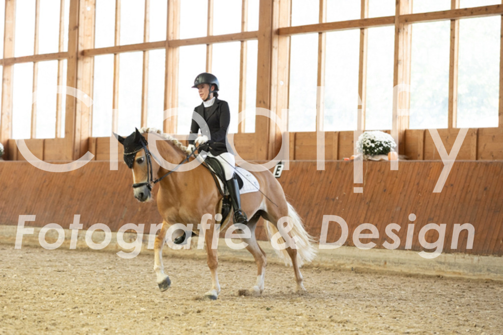 IMG_5892 | Creatify Fotografie