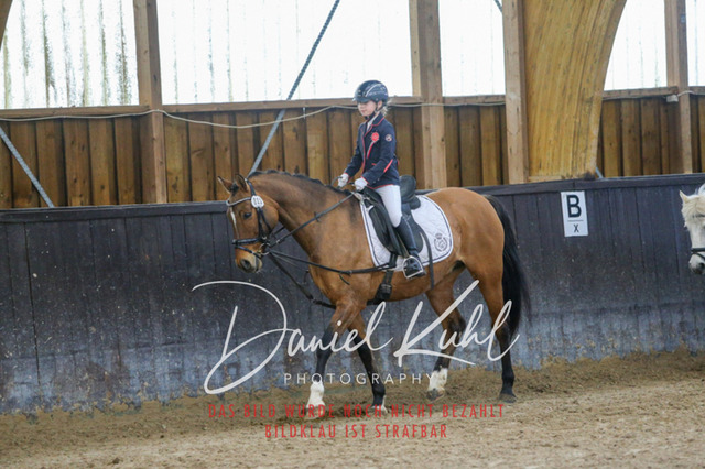 IMG_1396 | Turniersportfotografie; Pferdefotografie; Dressurfotografie