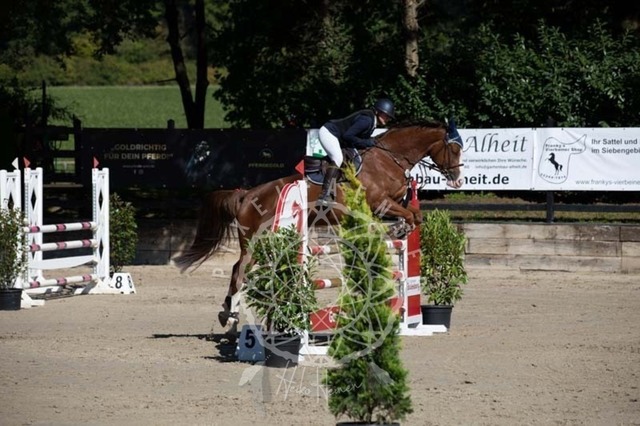 2B4A0422 | pixelfaenger - Realisiert mit Pictrs.com