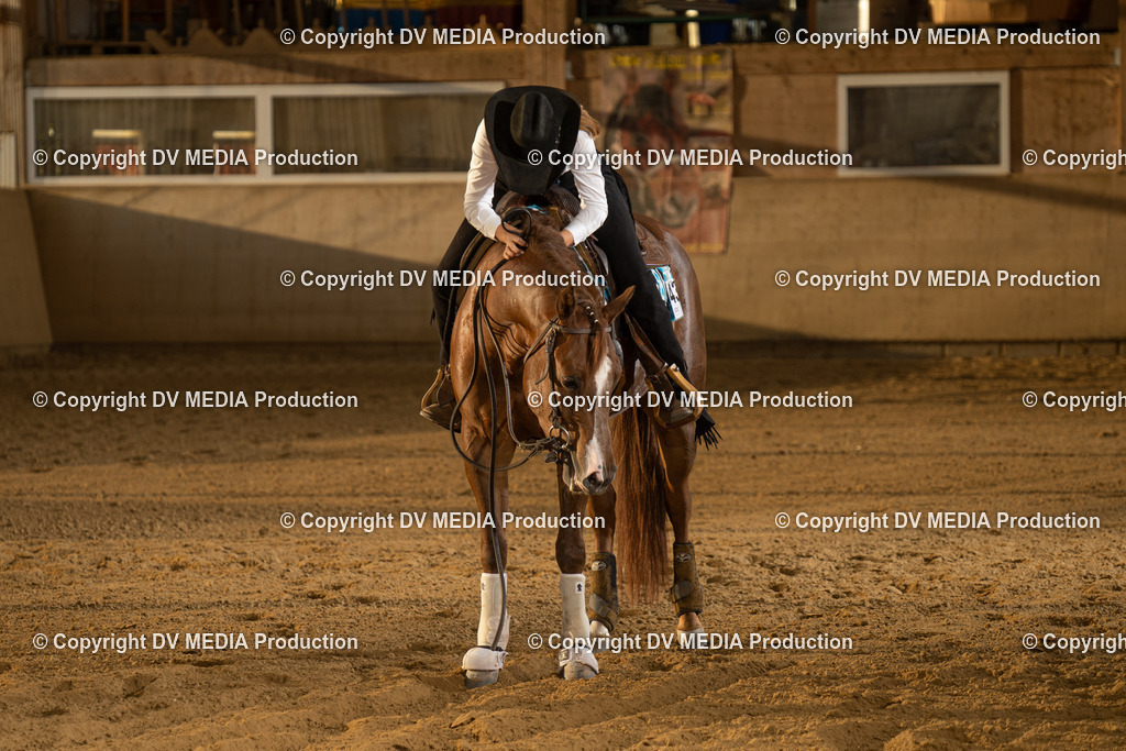 LAU02009 | dv-media-shop - Realisiert mit Pictrs.com