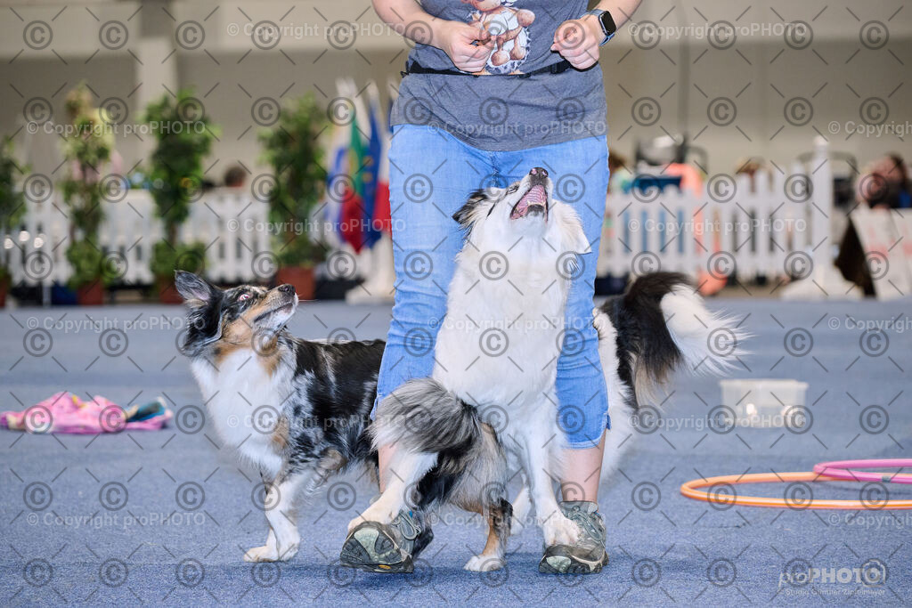 202406_ÖKV-IHA-Tulln24_NZ9_7713 | proPHOTO - Realisiert mit Pictrs.com