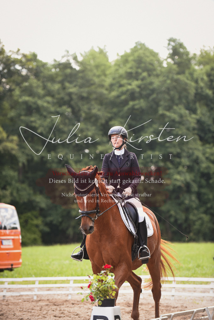 DSC_1075 | Pferde- und Turnierfotografie in Westsachsen. Pferdeportraits, Auftragszeichnungen und intuitive Kunst.