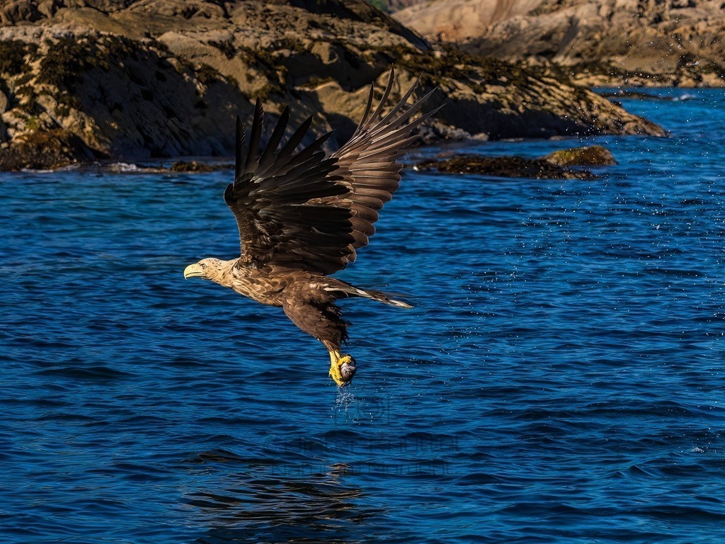 P1001625-LR-topaz-denoise-enhance | Natur im Moment - Realisiert mit Pictrs.com