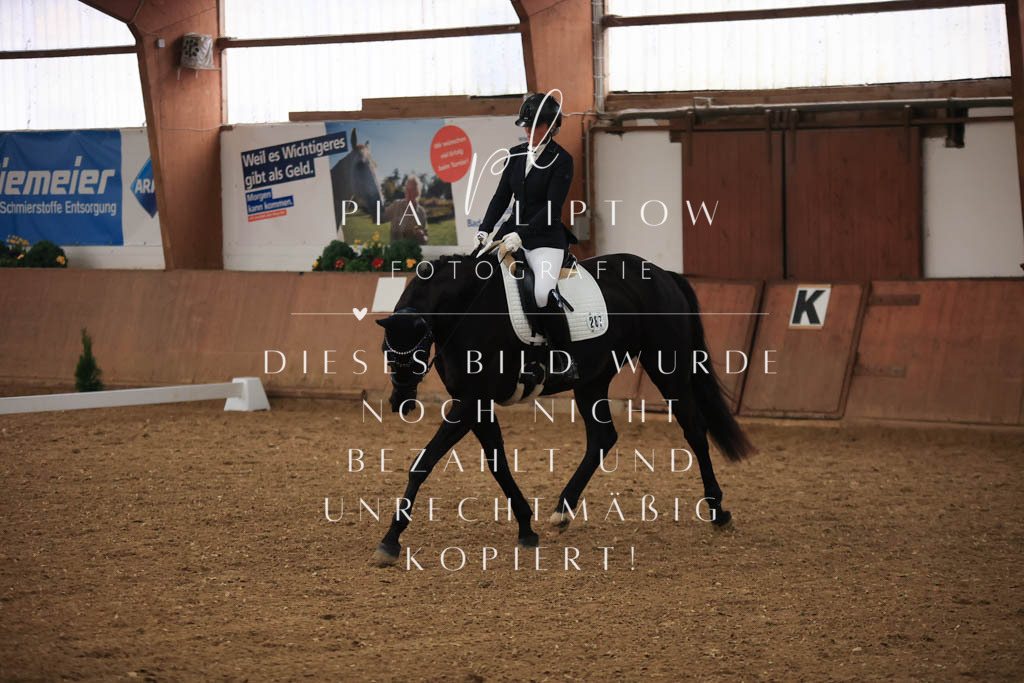 IMGT6946 | pl-fotografie