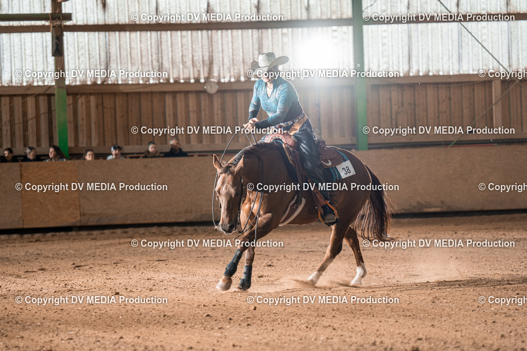 BA301060 | dv-media-shop - Realisiert mit Pictrs.com