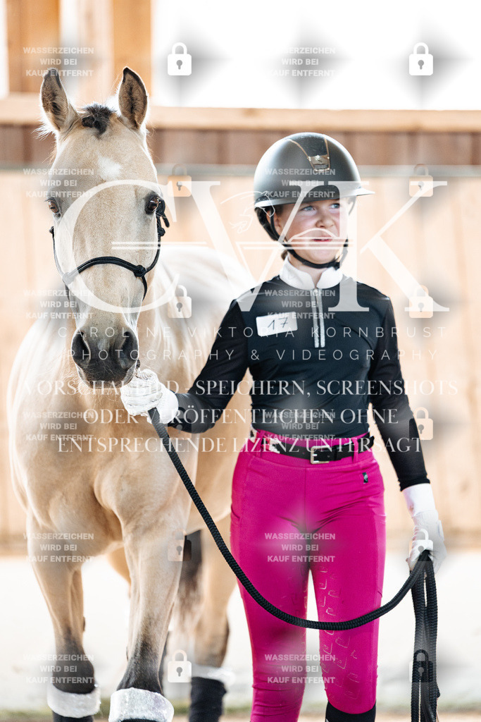 CK907172 | Turnierfotografie Pferdefotografie Trier Rheinland-Pfalz Pferdesport Reitsport Tierfotografie Sportfotografie Pferdevideo Pferdevideografie Equestrianvideography equestrianphotography  - Realisiert mit Pictrs.com