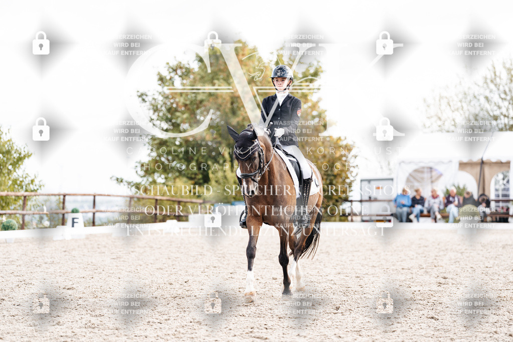 CK901606 | Turnierfotografie Pferdefotografie Trier Rheinland-Pfalz Pferdesport Reitsport Tierfotografie Sportfotografie Pferdevideo Pferdevideografie Equestrianvideography equestrianphotography  - Realisiert mit Pictrs.com
