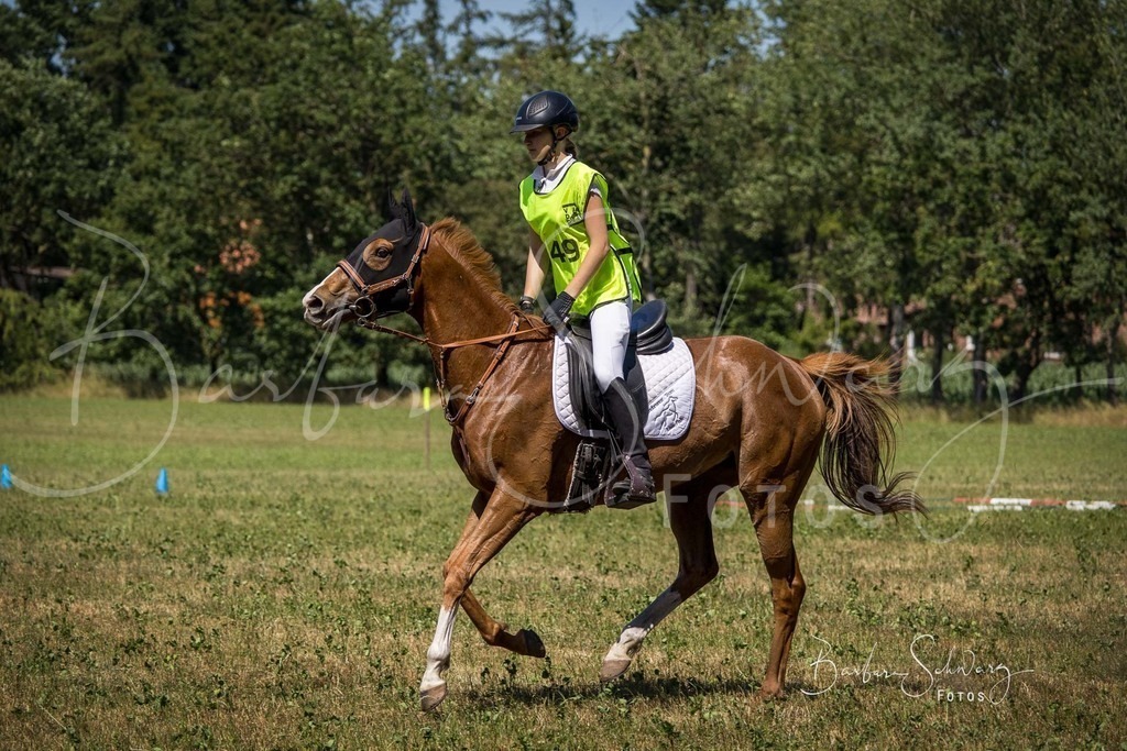 CJP_2026-06-26_67 | Stimmungsvolle Fotografie von Pferden, fotografische Begleitung von Veranstaltungen, Golfturnieren und Distanzritten - Realisiert mit Pictrs.com