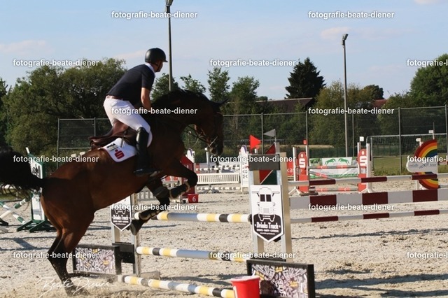 OHT 2022 Röhlingen (107) | Fotografie, Tiere, Hunde, Katzen, Pferde, Sportfotografie, Fotosession, Tierfotografie, Turnierfotografie, Fotografin, Fotograf - Realisiert mit Pictrs.com